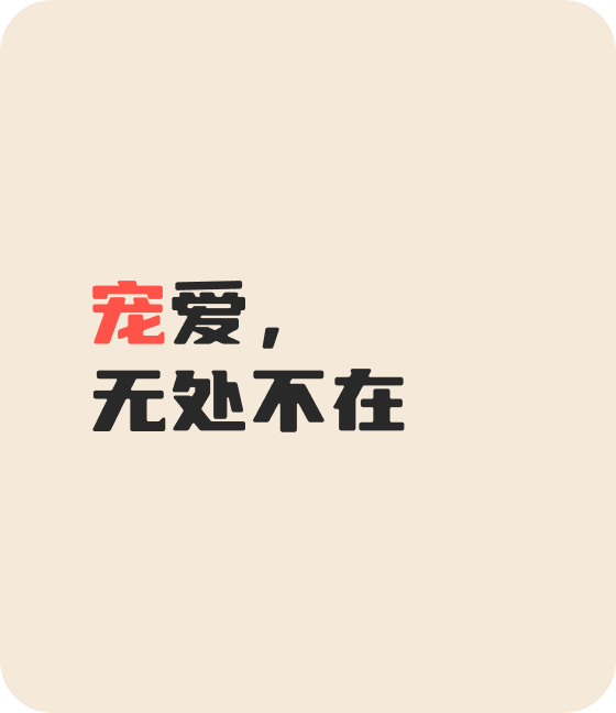 金年金字招牌jinnian宠物，无处不在