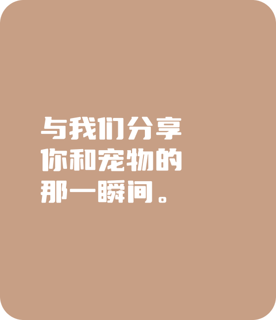 金年金字招牌jinnian宠物，无处不在